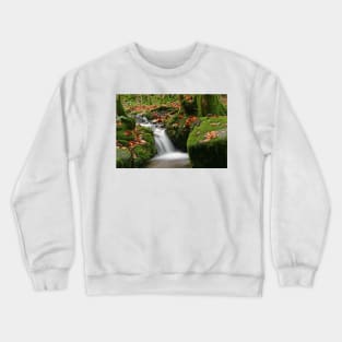 Go With the Flow Crewneck Sweatshirt